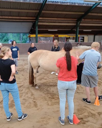 Vacatures EDI Tilburg - zorg, dierenmanagement, SPW, Social Studies, Pedagogiek
